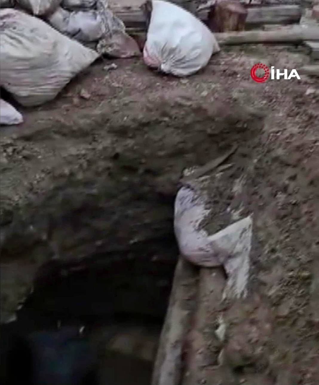 Yaptığı kaçak kazıyı sosyal medyada paylaşınca yakalandı! 2 bin yıllık Roma mozaiği buldu, İtalya'ya satacaktı 9